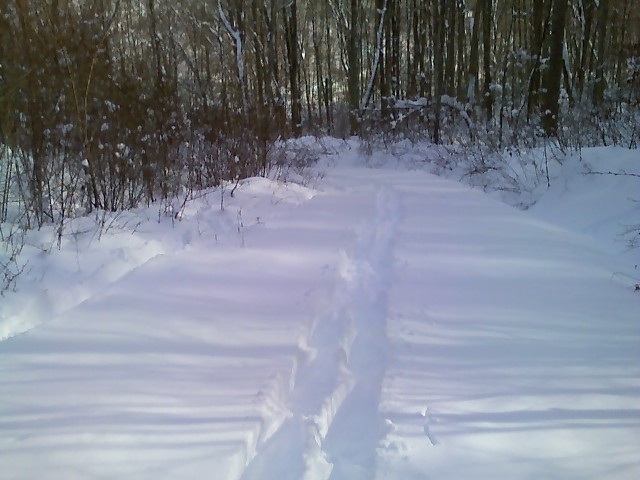snowshow trail.jpg