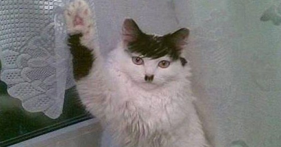 Kitler