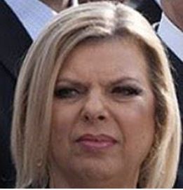 pukebag