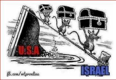Fleeing With Their Fleas