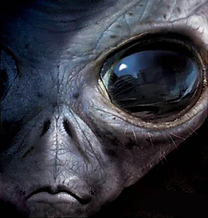 Space Critter