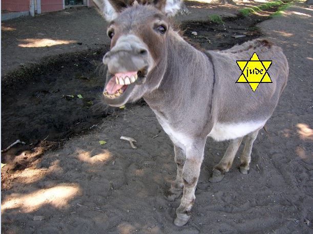 hee-haw