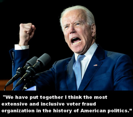 voter fraud.png