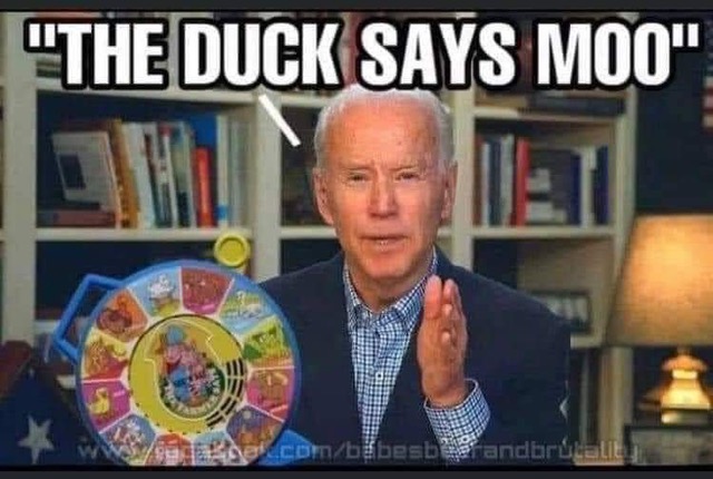 duck says moo.jpeg