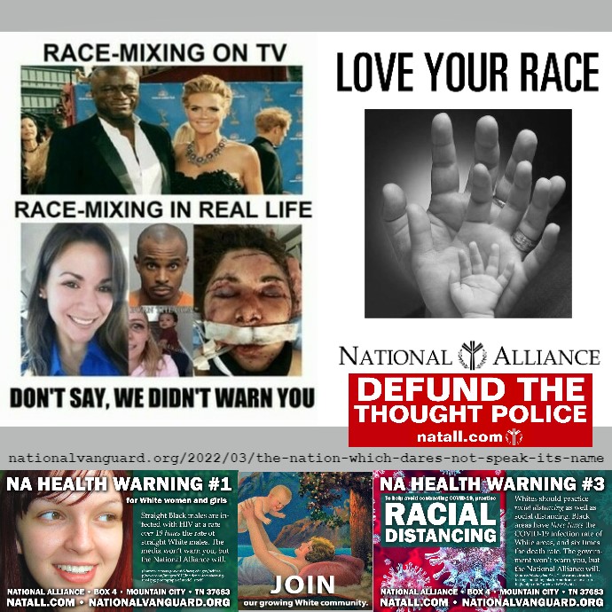 Race Mixing Meme.jpg