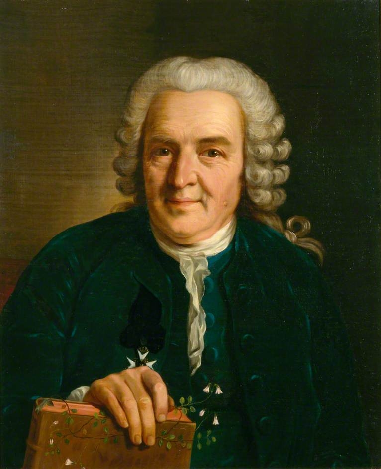 Linnaeus.jpeg