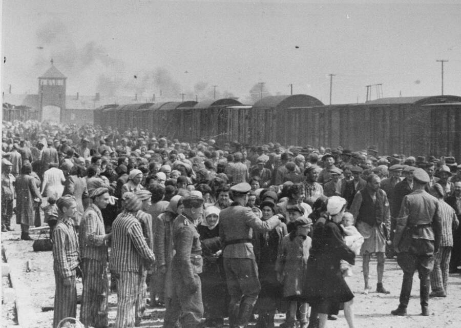 jewish-prisoners-and-ss-officers.jpg
