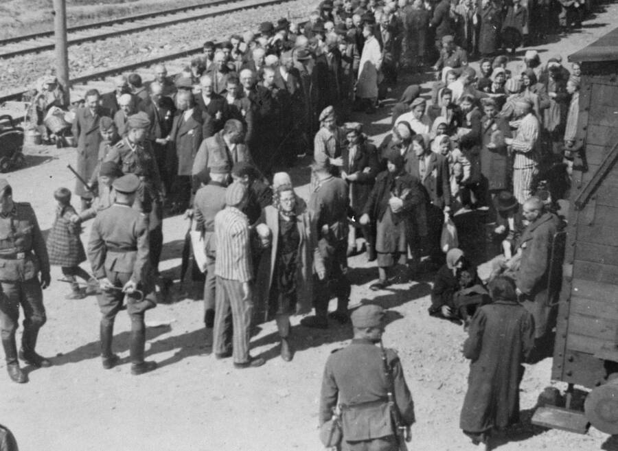 jewish-registration-at-auschwitz.jpg