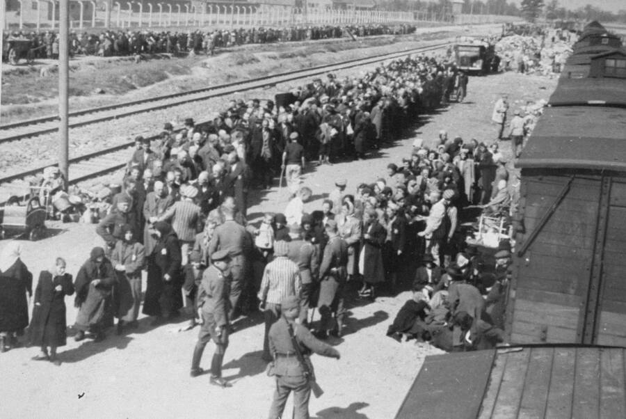 ramp-at-auschwitz-birken.jpg