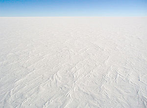 2ice.jpg