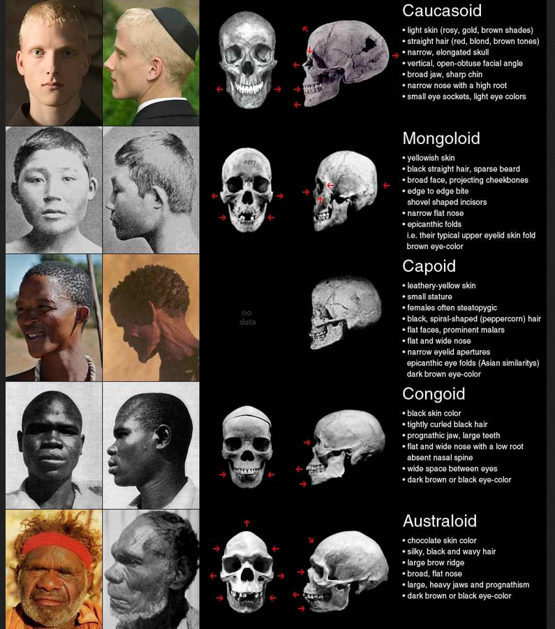 It's racist for saying so?