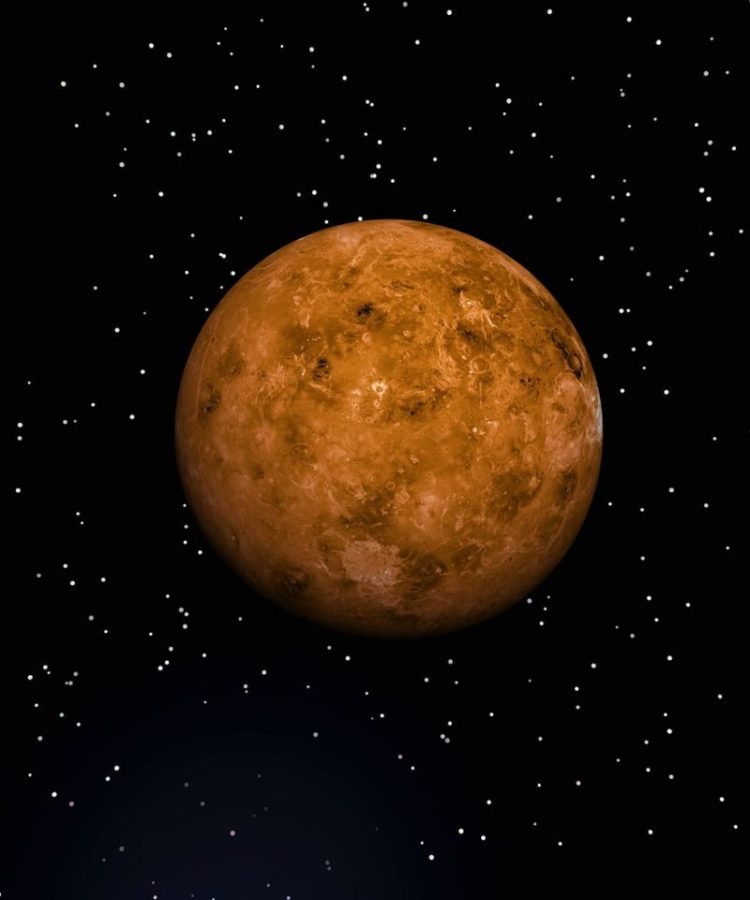 venus-750x900.jpg