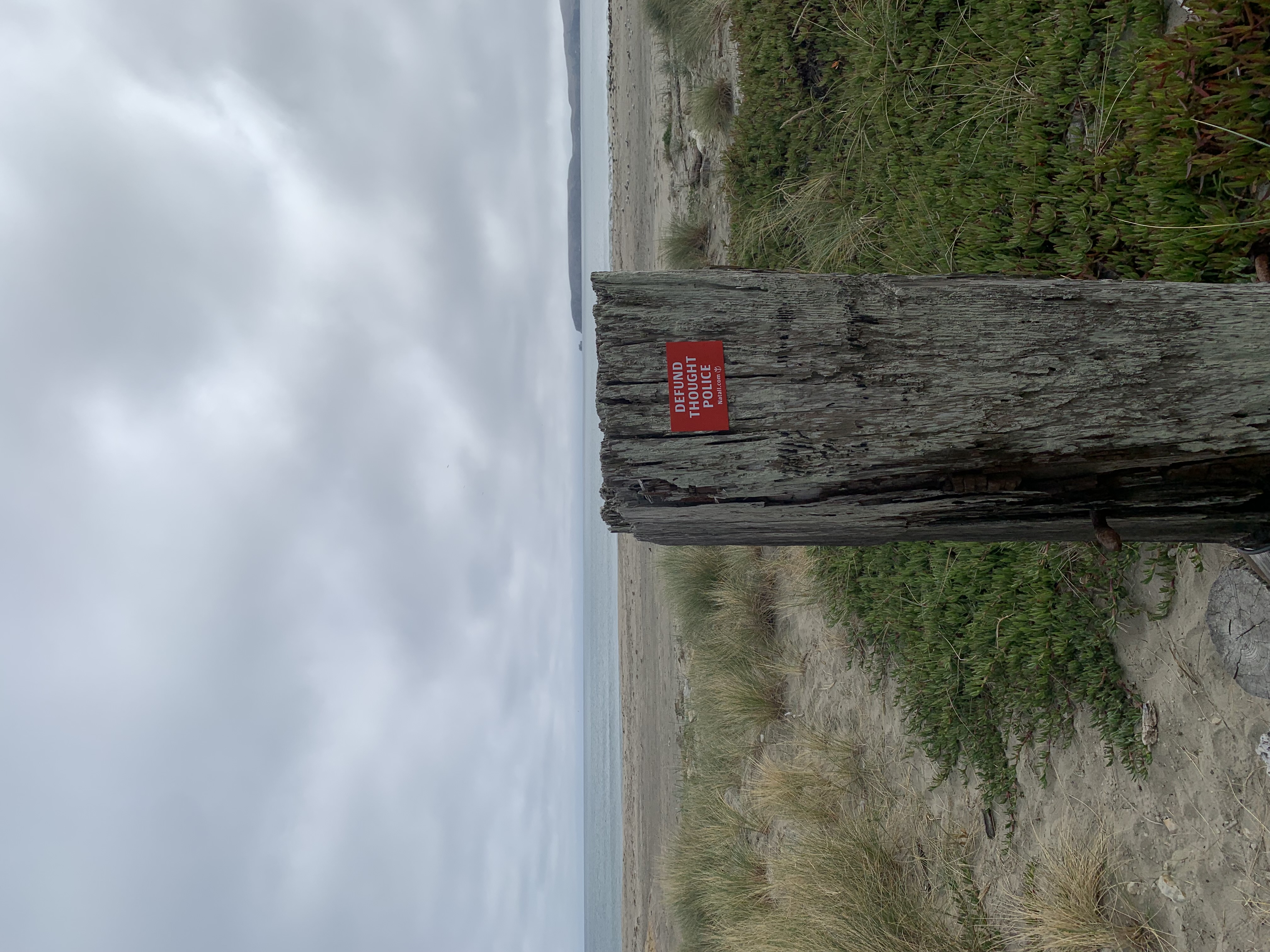 IMG_5778.jpeg