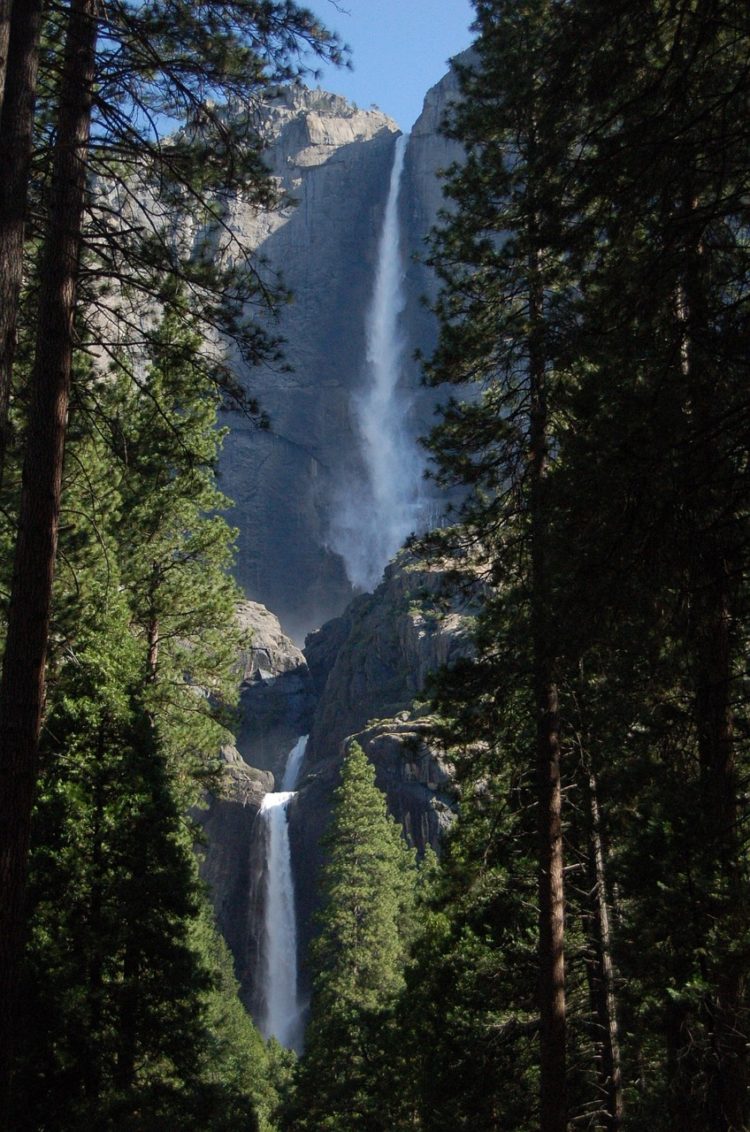 yosemite-1223085_1280-750x1132.jpg