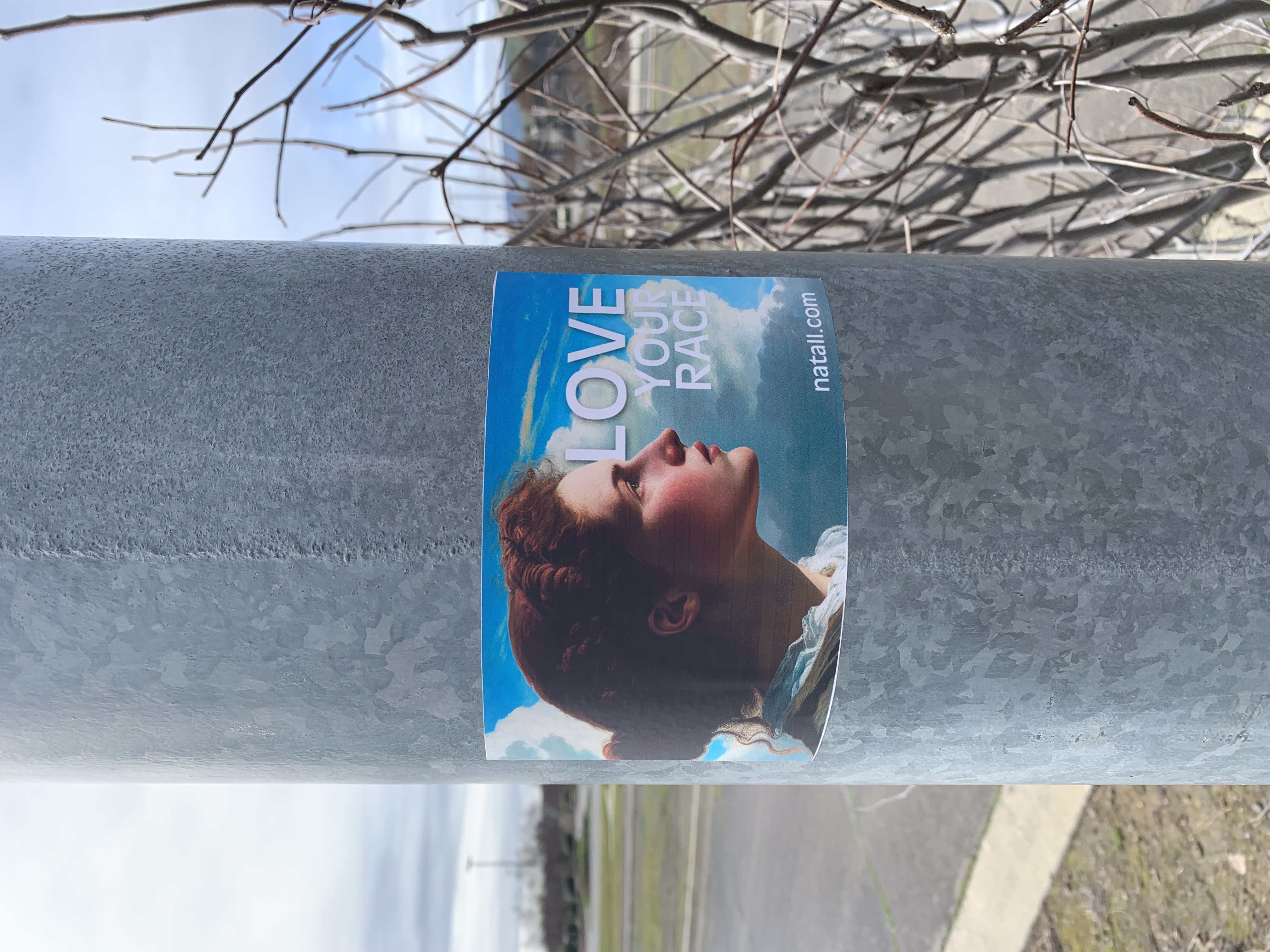IMG_8831.jpeg