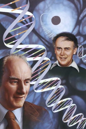 crick-and-watson-360x536.jpg