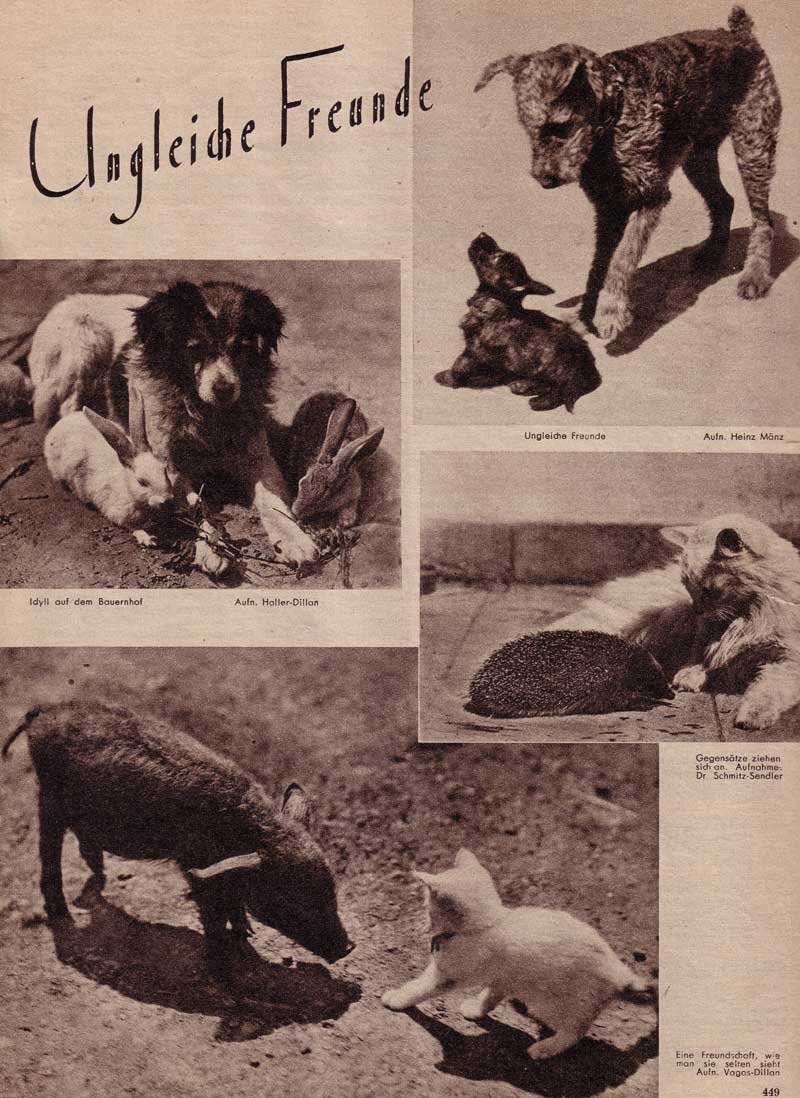 NAZI SPECIES-MIXING PROPAGANDA