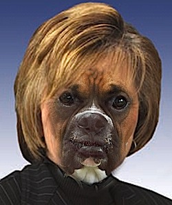 arf-arf