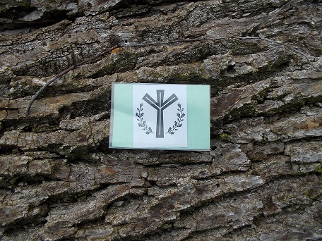 This badge inspires questions about the life rune's meaning