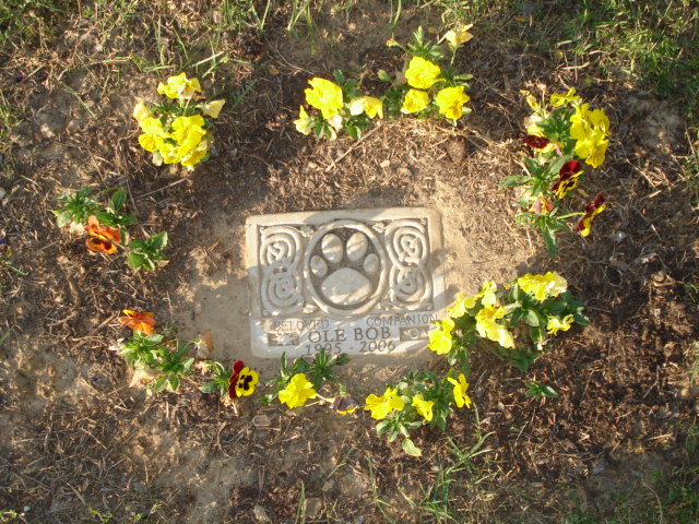 Rest In Peace Friend